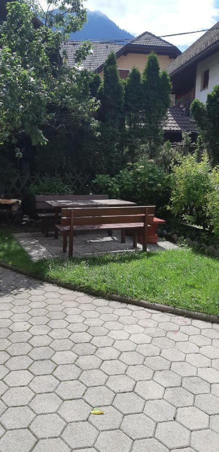 Apartma Albina 크라니스카고라 외부 사진